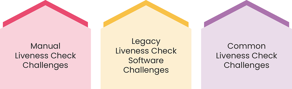 Operational Challenges Faced by Regulated Entities while Conducting Liveness Check