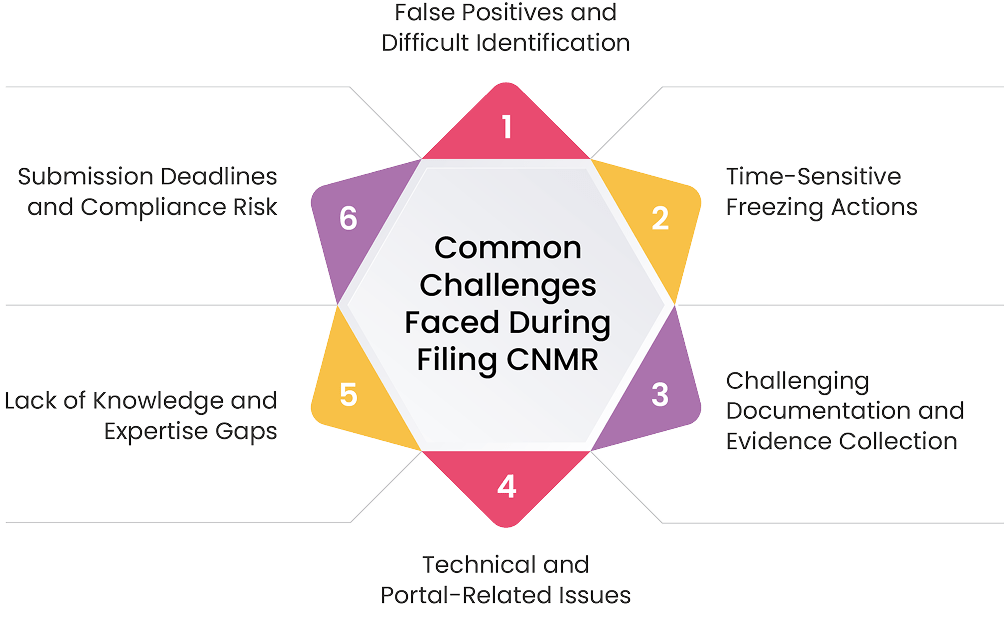 Common Challenges Faced During Filing CNMR