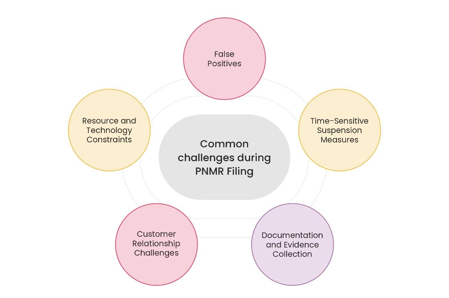 Common Challenges Faced During Filling PNMR 