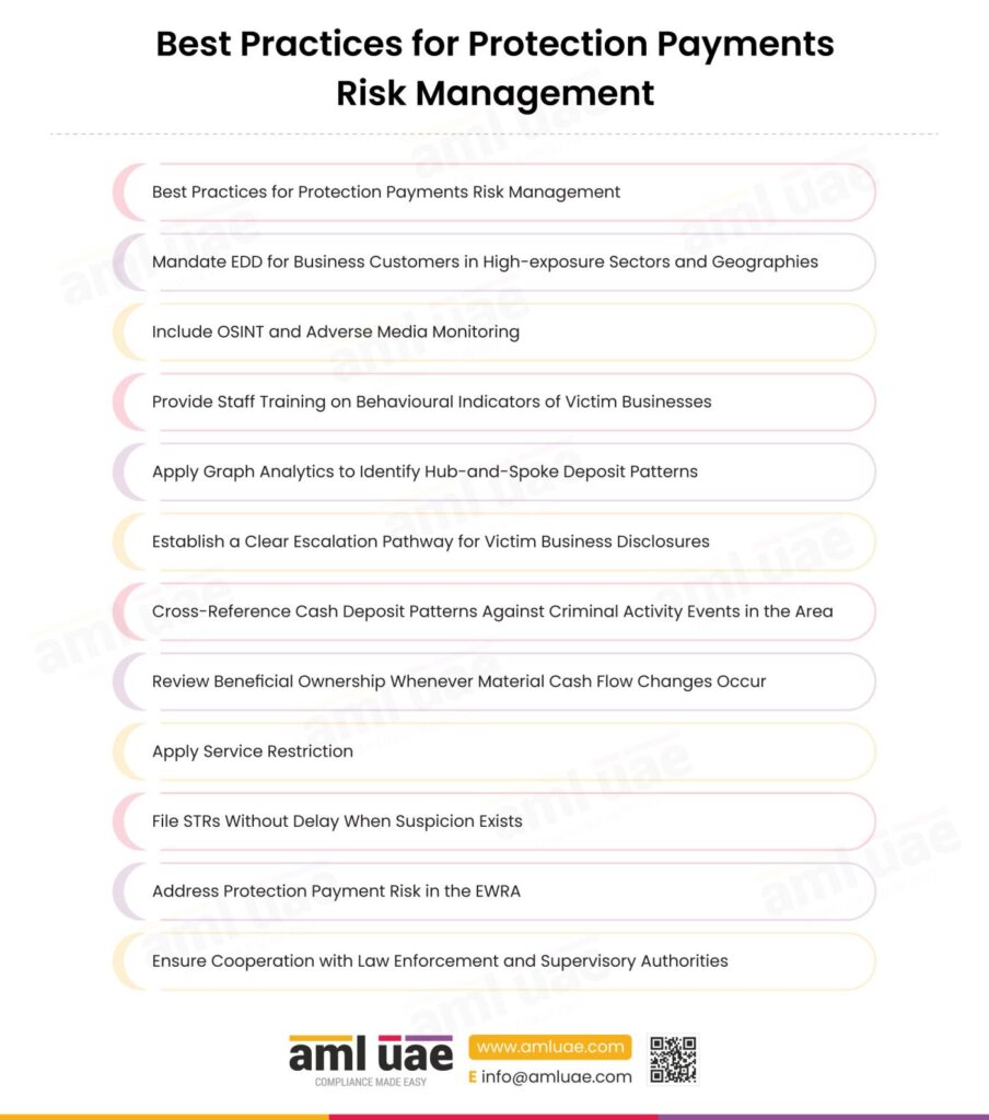 Best Practices for Protection Payments Risk Management