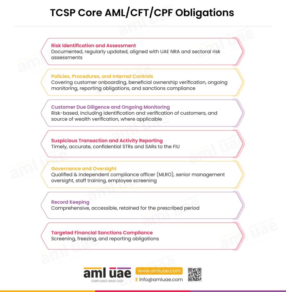 TCSP Core AML CFT CPF Obligations
