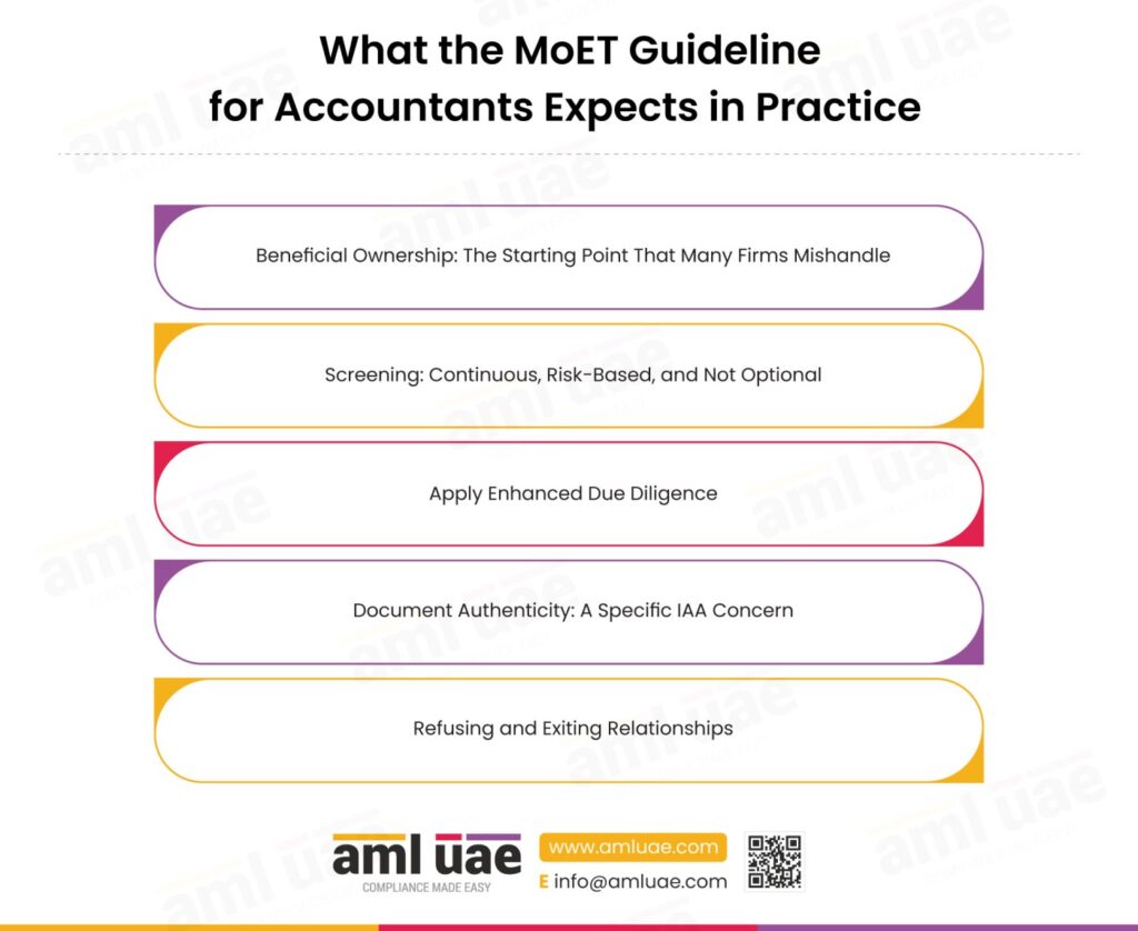 What the MoET Guideline for Accountants Expects in Practice