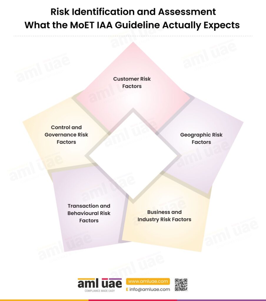 What the MoET IAA Guideline Actually Expects